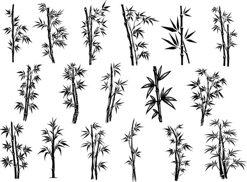 Puede incluir: Un conjunto de 18 ilustraciones en silueta en blanco y negro de plantas de bamb&uacute;. Las ilustraciones son simples y elegantes, y ser&iacute;an perfectas para usar en una variedad de proyectos de dise&ntilde;o.