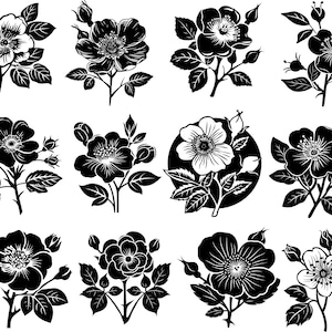 Wild Rose SVG, Wild Rose Clipart, Rose Cut-Dateien für Cricut, Rose Vektor, Wild Flower Cut, Floral svg