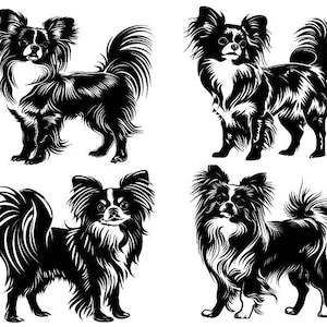 Papillon SVG, Papillon Dog Svg, Papillon Clipart, Archivos de corte Papillon para Cricut, Vector de perro