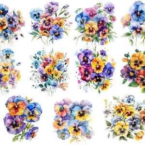 Akwarela Kwiaty Bratki Clipart Bundle, Kwiaty Bratki Png, Akwarele Fiołki, Wiosenny Kwiat Png