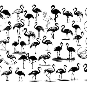 FLAMINGO SVG BUNDLE, Flamingo Svg, Flamingo Cut File, Bird Svg, Flamingo Clipart, Flamingo Silhouette