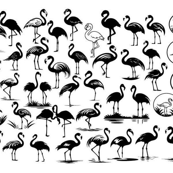 FLAMINGO SVG BUNDLE , Flamingo Svg, Flamingo Cut File , Bird Svg, Flamingo Clipart, Flamingo Silhouette