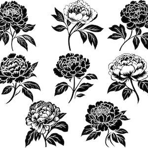 Pfingstrose Bundle, Pfingstrose Blumenschmuck, Pfingstrose Clipart, Pfingstrose Schnittdateien für Cricut, Hochzeitsblumen
