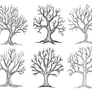 Boom bundel Svg, boom silhouet Svg, kale boom Svg, boom Clipart, boom gesneden bestanden voor Cricut, boom Vector