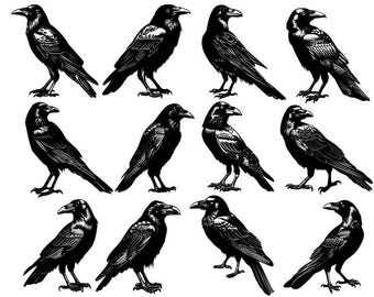 Raven and Crow Svg, Raven Svg Bundle, Crow Svg, Raven Svg, Bird Svg, Crow Clipart, Raven Cricut
