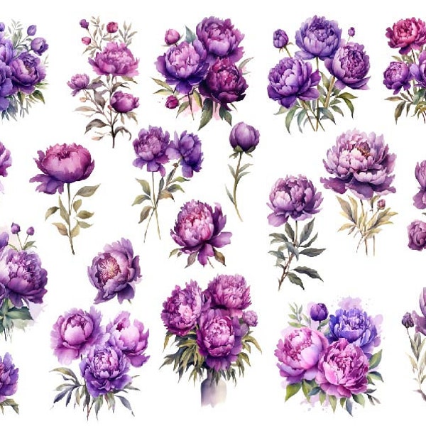 Watercolour Purple Peonies Clipart, Purple Peony Clipart Png, Watercolor Flowers PNG, Watercolor Peonies Bouquet Png