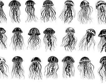 Jellyfish Svg Bundle, Jellyfish Clipart, Jellyfish Vector, Ocean Life Svg, Jellyfish Cut Files For Cricut
