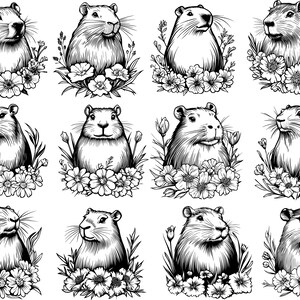 May include: A collection of ten black and white line drawings of marmots with flowers. Each marmot is depicted in a different pose, surrounded by flowers.