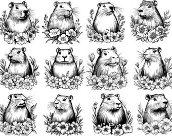 Cute Capybara PNG, Capybara SVG Bundle, Capybara Clipart, Capybara Vector, Floral Capybara Svg