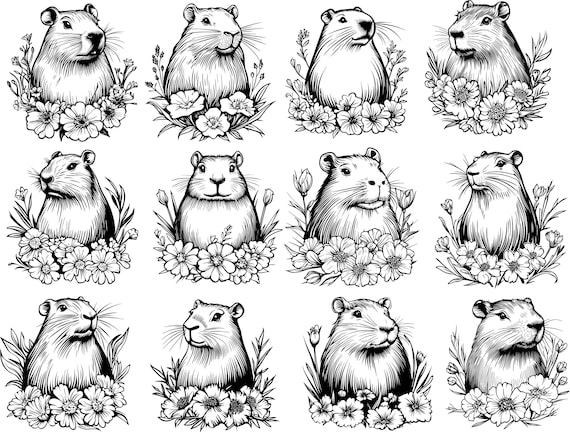 Cute Capybara PNG, Capybara SVG Bundle, Capybara Clipart, Capybara Vector, Floral Capybara Svg