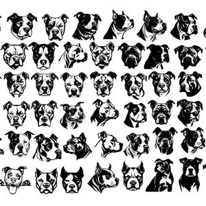PITBULL SVG, Pitbull Bundle Svg, Pitbull Clipart, Pitbull Files For Cricut,  Pitbull Silhouette Svg, American Pitbull svg