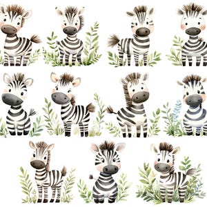 Watercolor Zebra Clipart, Cute Zebra Clipart, Watercolor Cartoon Zebra Png, Nursery Clipart, Baby Zebra Png