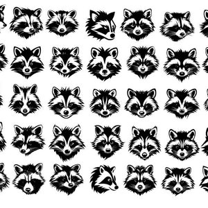 RACCOON SVG, Raccoon Bundle Svg, Raccon Cricut , Raccoon Clipart, Raccoon Cut Files , Raccoon Face Svg