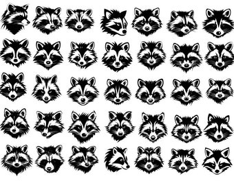 RACCOON SVG, Raccoon Bundle Svg, Raccon Cricut , Raccoon Clipart, Raccoon Cut Files , Raccoon Face Svg
