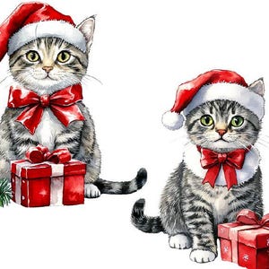 Christmas Cat Clipart, Watercolor Christmas Cat Png, Cat With Santa Hat ...