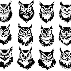 Owl Svg, Owl Svg Bundle, Owl Clipart, Owl Cut Files For Cricut, Owl Vector, Birds Svg