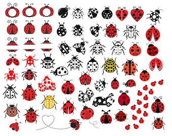 Ladybug SVG,  Ladybug Files for Cricut, Ladybug Clipart, Ladybug Vector, Ladybug Bundle Svg