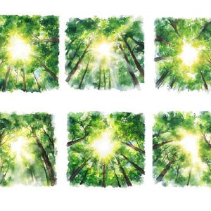 水彩の晴れた森、水彩の森のクリップアート、水彩の太陽光線の森のクリップアート、常緑樹のクリップアート、魔法の森のPNG