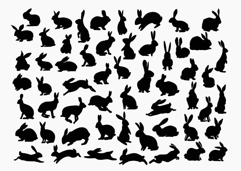 RABBIT SVG, Bunny Bundle Svg, Rabbit Cricut, Rabbit Clipart, Rabbit Cut ...
