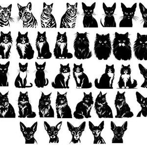 Lot de chats SVG, SVG de races de chats, clipart chats, chats coupés fichiers pour Cricut, vecteur de chaton, Silhouette de chat