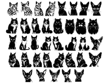 Cat SVG Bundle, Cat Breeds SVG, Cats Clipart, Cats Cut Files For Cricut, Kitten Vector, Cat Silhouette