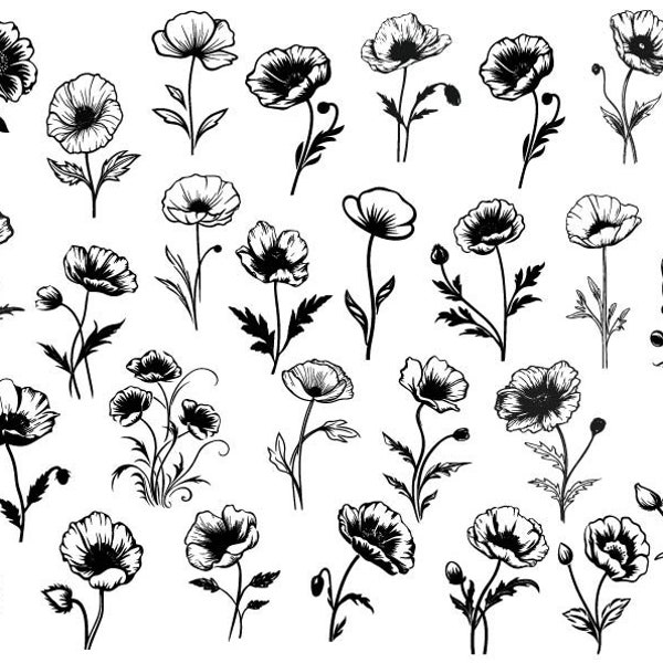 Poppy Svg Bundle, Poppy Clipart, Botanical Svg, Flower Svg, Poppy Flower Cut Files For Cricut, Wildflower Svg