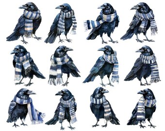 Akvarell kråkor png, akvarell korp png, kråkor clipart, korp clipart png, rolig kråka png
