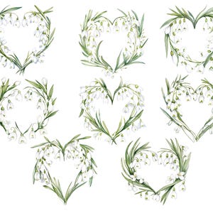 Clipart bucaneve acquerello, bucaneve png, clipart fiori primaverili, fiori di gennaio png