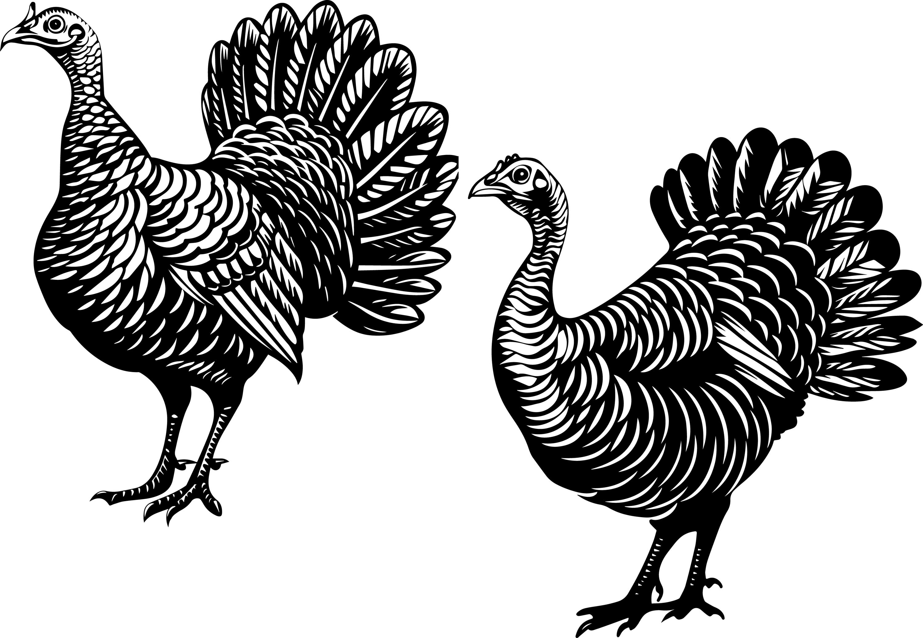 Turkey Svg Color Turkey Svg Bundle, Turkey Clipart, Turkey Vector, Thanksgiving Turkey ...