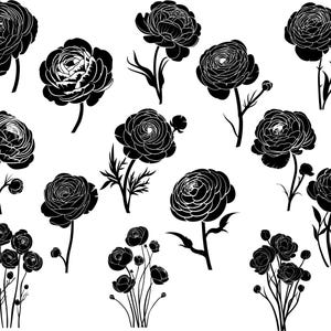 Ranunculus Flower Svg, Ranunculus Clipart, Ranunculus Vector, Hand Drawn Flower Svg, Flowers Clipart