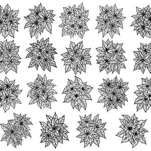 May include: A set of 20 black and white line drawings of poinsettia flowers. The flowers are drawn in a simple, stylised way, with a focus on the shape of the petals and leaves.
