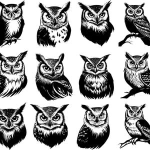 Owl Svg, Owl Svg Bundle, Owl Clipart, Owl Cut Files For Cricut, Owl Vector, Birds Svg, Owl On Branch Svg
