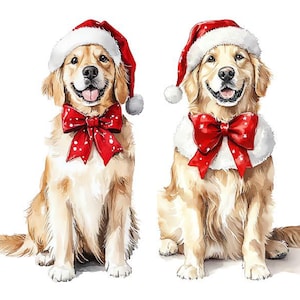Clipart kerst Golden Retriever, aquarel kersthond clipart, kerstpuppy's clipart, feestelijke hond png