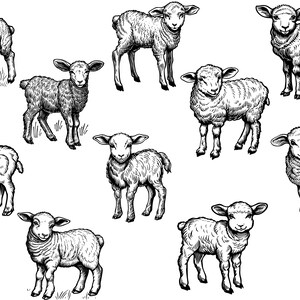 May include: A collection of ten detailed black and white illustrations of lambs in various poses. The lambs have fluffy wool and are depicted with a realistic, artistic style, suitable for farm-themed designs or nursery decor.