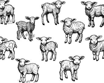 Paquete de Svg de Cordero, Clipart de Cordero, Vector de Cordero, Svg de Oveja, Svg de Oveja de Granja