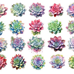 Watercolor Succulents Clipart, Succulent Clipart, Watercolor Succulents Png, Succulents Plants Png, Plants Clipart Png, Botanical Clipart