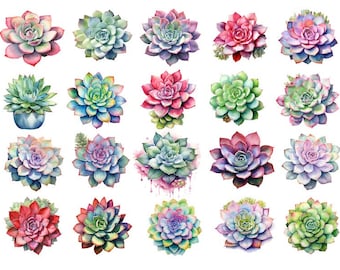 May include: Watercolor illustration of 24 different succulent plants in various shades of green, pink, purple, and blue. The succulents are arranged in a grid pattern on a white background.