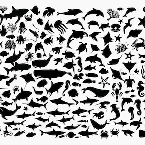 ZEE DIEREN SVG, zeedieren Clipart, Ocean Life Svg, Ocean Cricut, Ocean Animals Cut Files, Ocean Svg