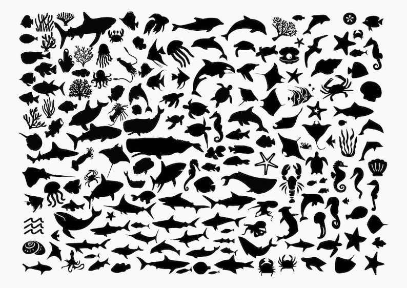 May include: Black and white silhouette illustrations of various sea creatures, including fish, sharks, whales, dolphins, seahorses, starfish, crabs, jellyfish, and sea turtles.