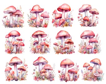 Watercolor Pink Mushrooms, Floral Mushroom Clipart, Pink Mushroom Png, Cute Mushroom Png