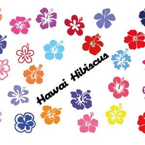 HIBISCUS SVG , hibiscus hawai flower , bundle svg, file for cricut , clipart