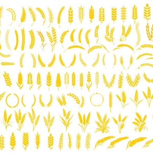 Pacchetto SVG di grano, grano Svg, clipart di grano, file di taglio di grano per Cricut, vettore di grano, sagoma di grano