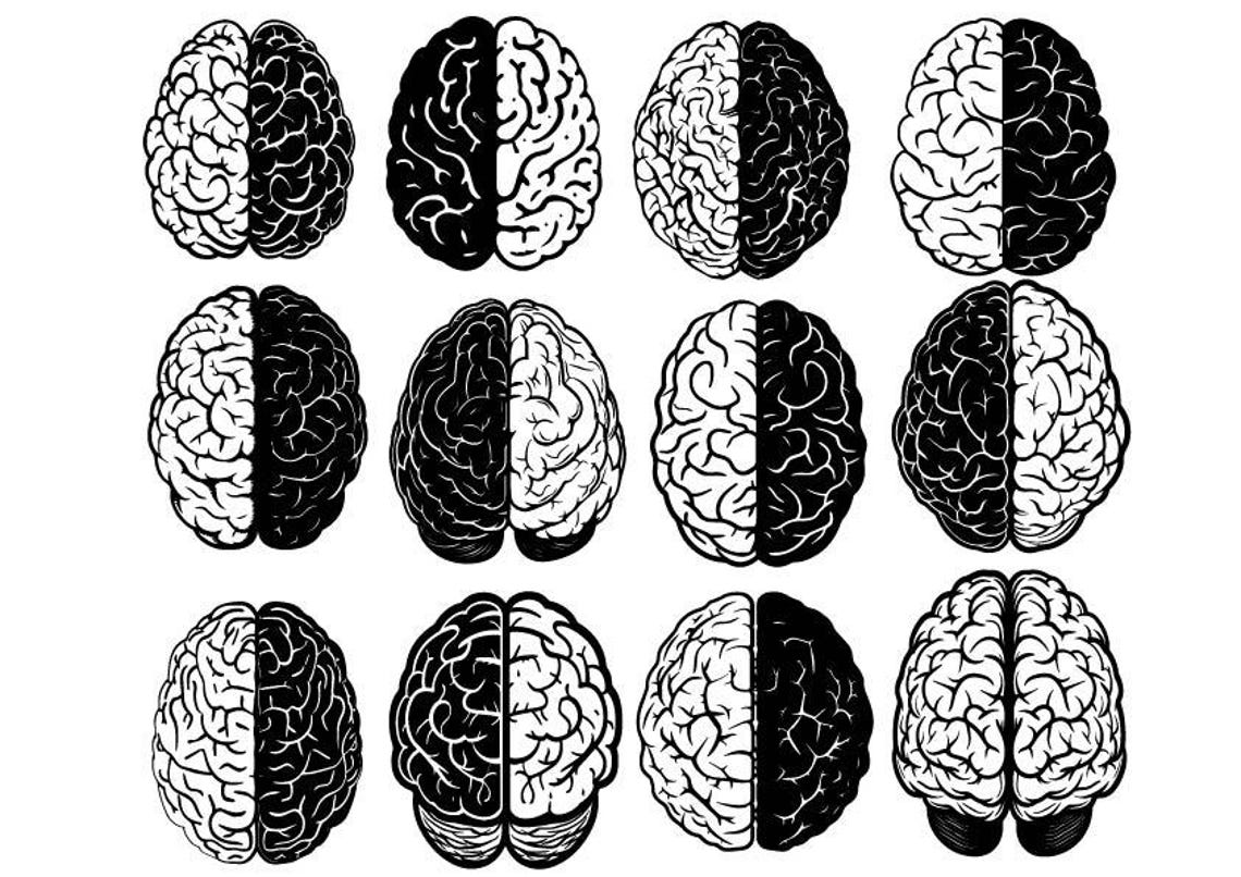 Brain SVG Bundle, Brain Clipart, Brain Cut Files for Cricut, Brain ...