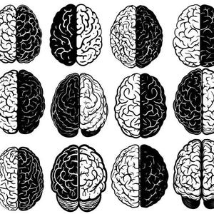 May include: A collection of twelve stylized brain illustrations, each split into two halves. The designs alternate between black and white, showcasing the brain's intricate structure. The images are arranged in a grid pattern.