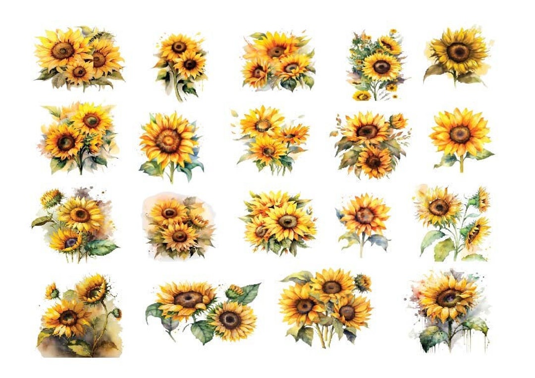 Watercolor Sunflower Clipart, Sunflower Png, Sunflower Clipart, Boho ...