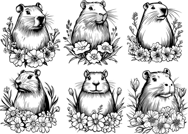 May include: Six black and white illustrations of maras, a type of rodent, with floral accents. Each maras is depicted in a different pose, with some looking directly at the viewer and others looking away. The illustrations are surrounded by flowers and leaves, creating a whimsical and natural feel.