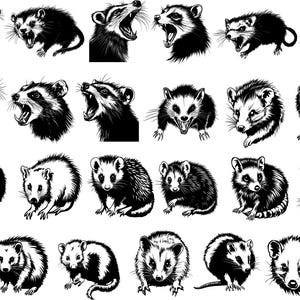 Opossum Svg Bundle, Opossum Svg, Opossum Clipart, Opossum couper fichiers pour Cricut, raton laveur Svg, vecteur d'Opossum