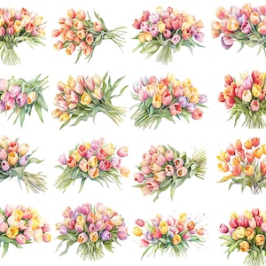 Watercolor Tulips Clipart, Tulip Flowers Png, Spring Flowers Clipart, Colorful Tulips Clipart