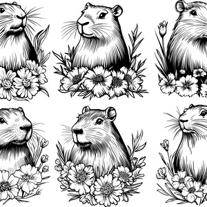 May include: Black and white line art illustrations of six gophers with flowers. Each gopher is surrounded by flowers and leaves. The gophers are drawn in a realistic style.