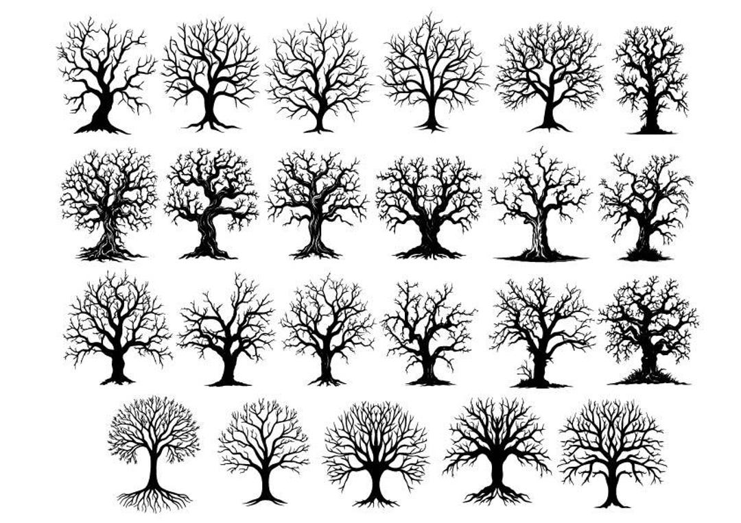 Tree Svg, Tree of Life Svg, Tree Bundle Svg, Tree Clipart, Tree Vector ...